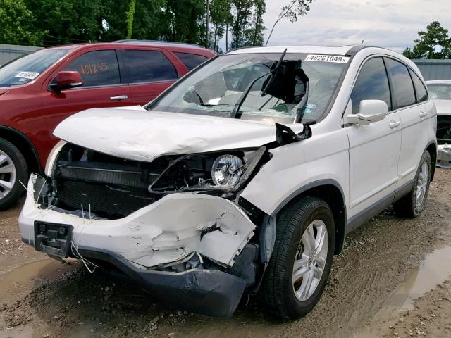 JHLRE3H76AC001801 - 2010 HONDA CR-V EXL WHITE photo 2