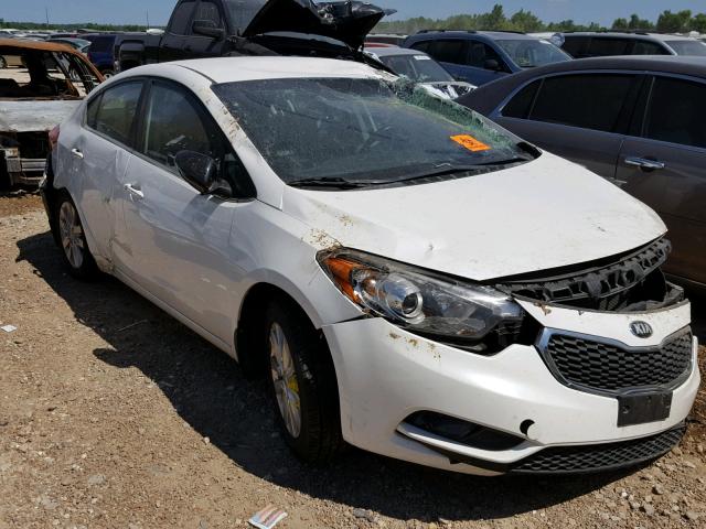 KNAFX4A80E5096317 - 2014 KIA FORTE EX WHITE photo 1