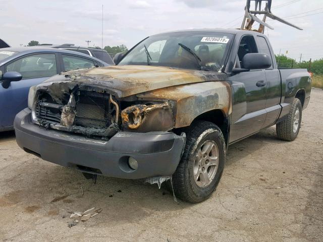 1D7HW42N75S305613 - 2005 DODGE DAKOTA SLT BLACK photo 2