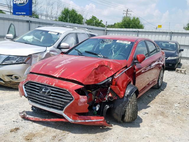 5NPE34AF9JH685918 - 2018 HYUNDAI SONATA SPO RED photo 2