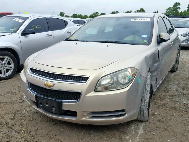 1G1ZH57B89F187642 - 2009 CHEVROLET MALIBU 1LT 米色 照片 2