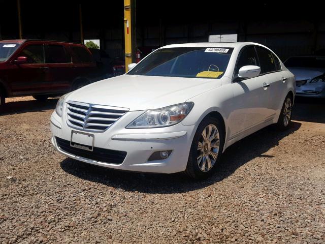 KMHGC46E89U036973 - 2009 HYUNDAI GENESIS 3. WHITE photo 2