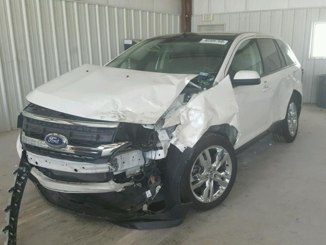 2FMDK3JC8DBA58038 - 2013 FORD EDGE SEL YELLOW photo 2