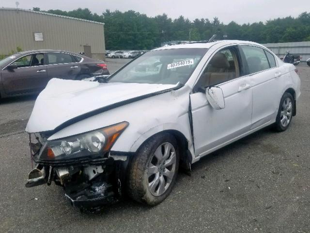 1HGCP26808A129381 - 2008 HONDA ACCORD EXL WHITE photo 2