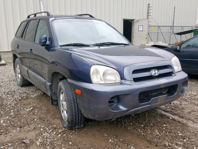 KM8SB12B75U959107 - 2005 HYUNDAI SANTA FE BLUE photo 1