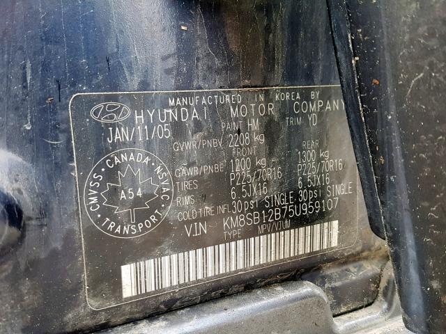 KM8SB12B75U959107 - 2005 HYUNDAI SANTA FE BLUE photo 10