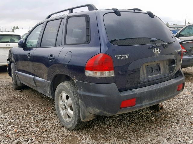 KM8SB12B75U959107 - 2005 HYUNDAI SANTA FE BLUE photo 3