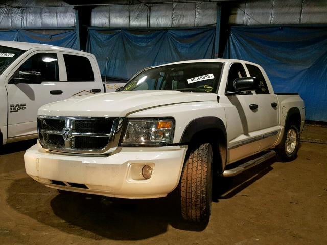 1D7HW58N38S630583 - 2008 DODGE DAKOTA QUA WHITE photo 2