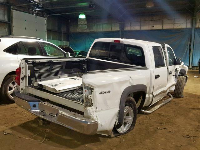 1D7HW58N38S630583 - 2008 DODGE DAKOTA QUA WHITE photo 4