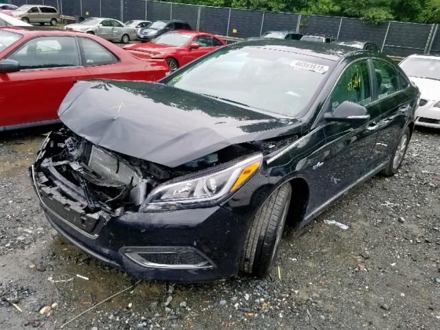 KMHE24L38HA075656 - 2017 HYUNDAI SONATA HYB BLACK photo 2