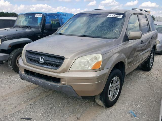 2HKYF18604H575711 - 2004 HONDA PILOT EXL GOLD photo 2