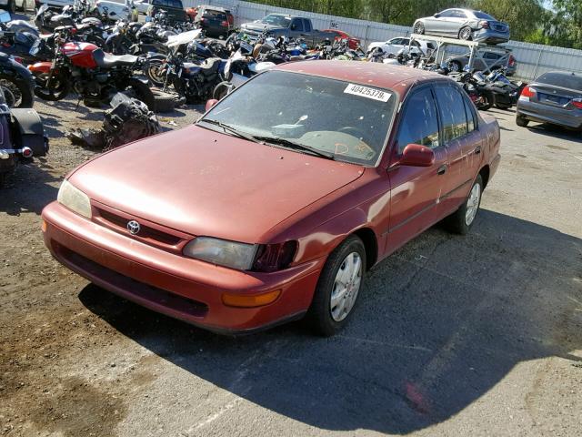 1NXBB02EXTZ460965 - 1996 TOYOTA COROLLA DX MAROON photo 2