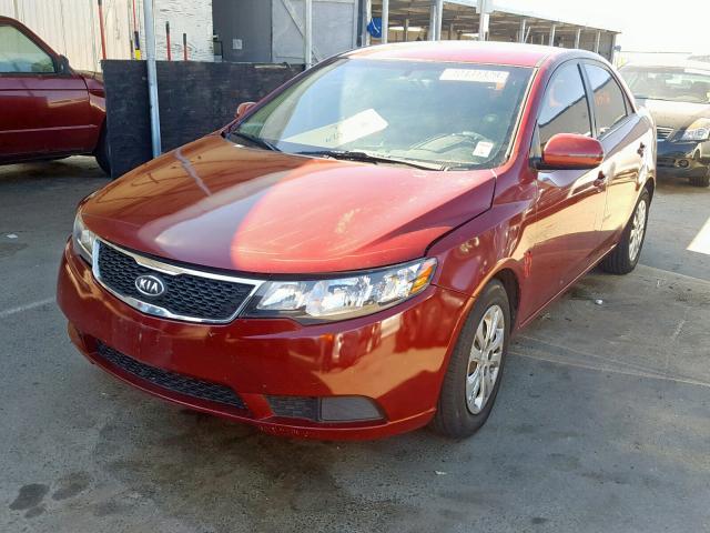 KNAFU4A2XB5403721 - 2011 KIA FORTE EX RED photo 2