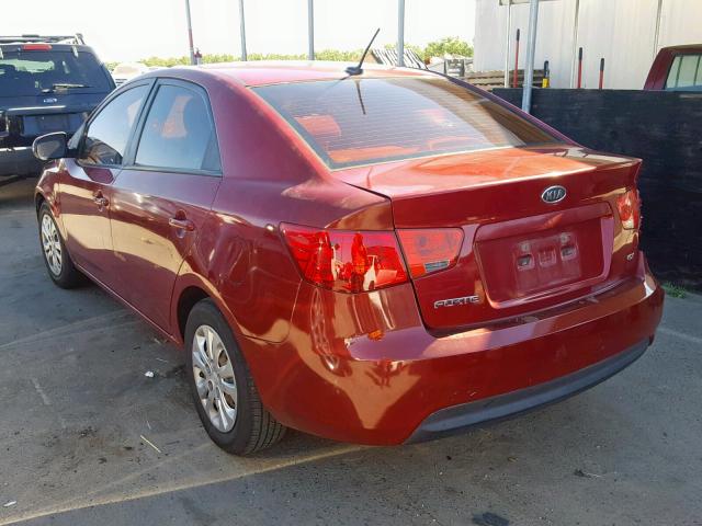 KNAFU4A2XB5403721 - 2011 KIA FORTE EX RED photo 3