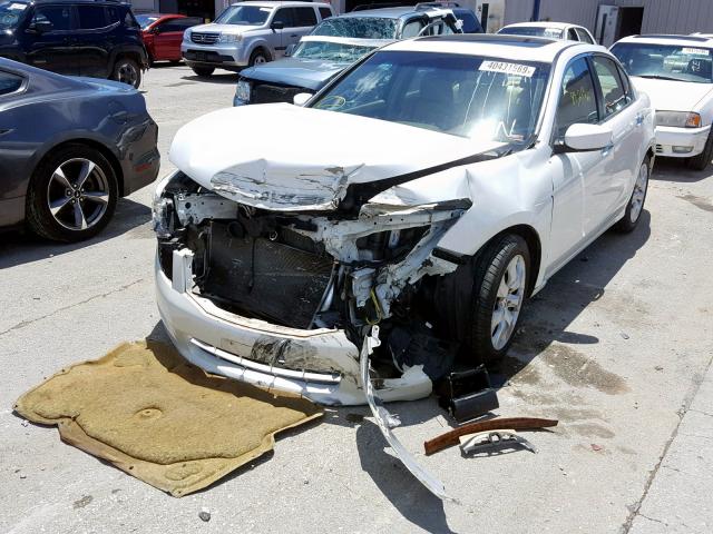 1HGCP36878A085109 - 2008 HONDA ACCORD EXL WHITE photo 2