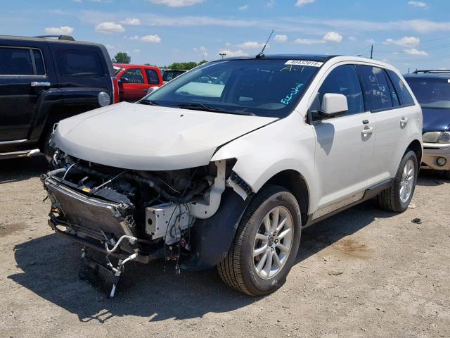 2FMDK38C39BA54542 - 2009 FORD EDGE SEL WHITE photo 2