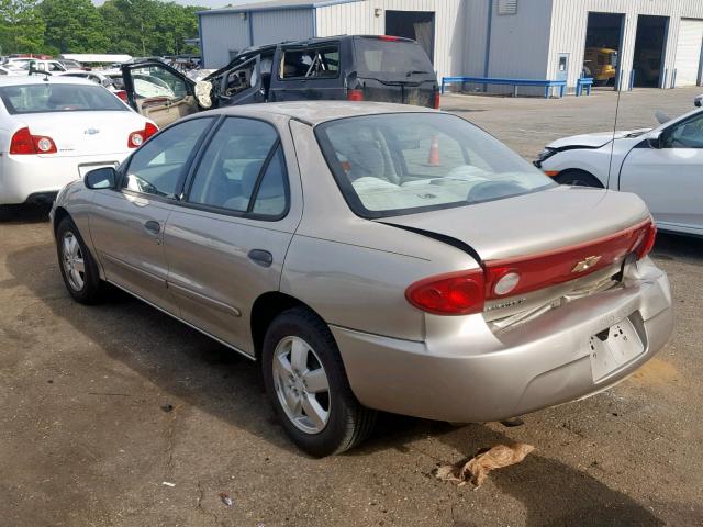 1G1JF52F847137288 - 2004 CHEVROLET CAVALIER L GOLD photo 3