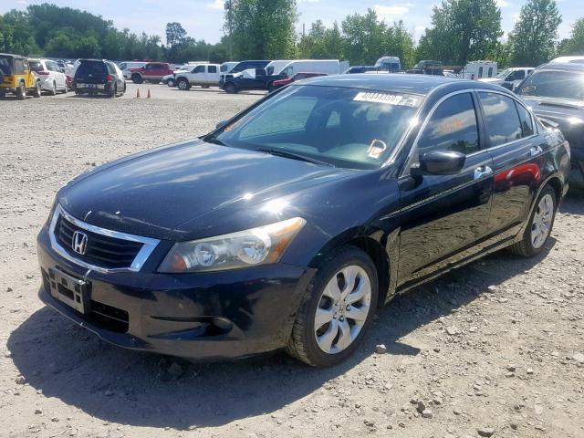 1HGCP36748A084152 - 2008 HONDA ACCORD BLACK photo 2