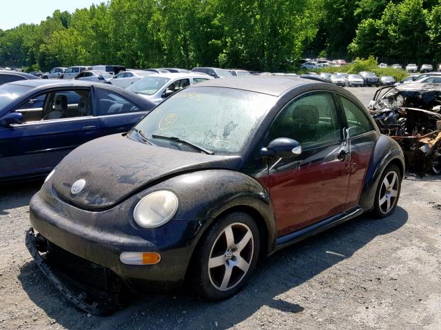 3VWCK31C35M406082 - 2005 VOLKSWAGEN NEW BEETLE შავი ფოტო 2