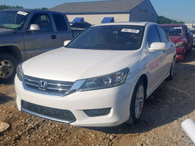 1HGCR2F84EA195146 - 2014 HONDA ACCORD EXL WHITE photo 2