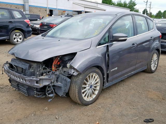 1FADP5BU3DL538065 - 2013 FORD C-MAX SEL GRAY photo 2