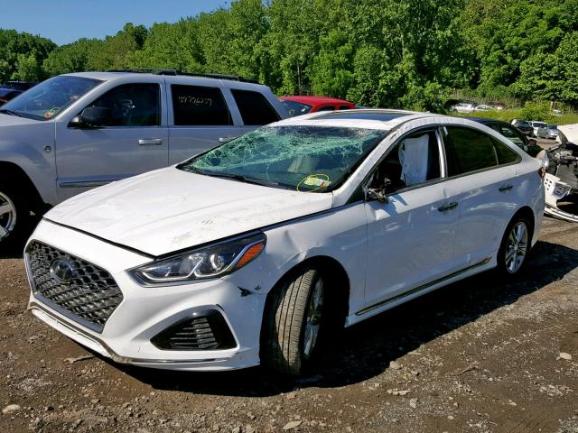 5NPE34AF1JH645879 - 2018 HYUNDAI SONATA SPO WHITE photo 2