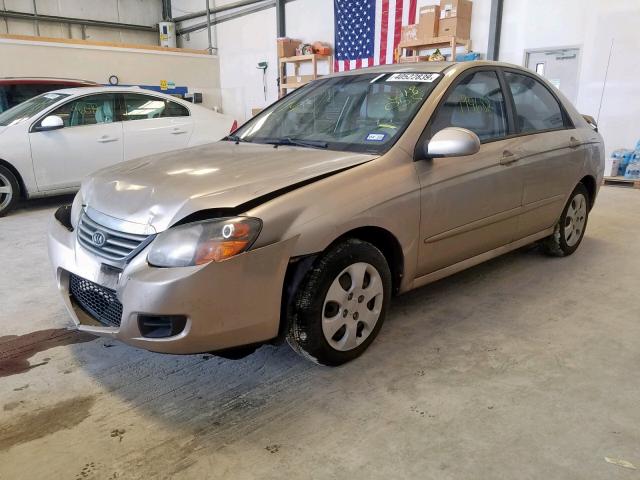 KNAFE221995618055 - 2009 KIA SPECTRA EX GOLD photo 2