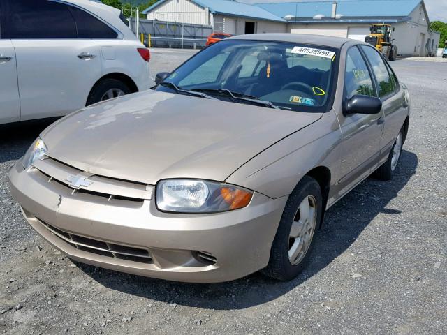 1G1JF52F537134007 - 2003 CHEVROLET CAVALIER L GOLD photo 2