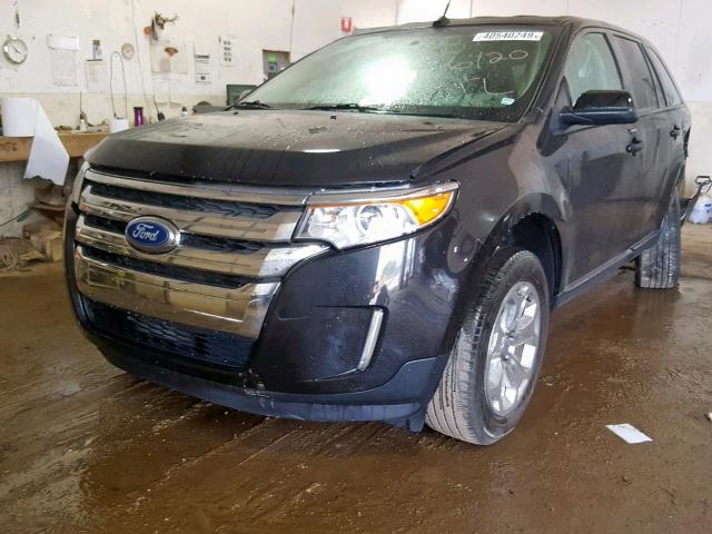 2FMDK3JC3EBB66892 - 2014 FORD EDGE SEL BLACK photo 2