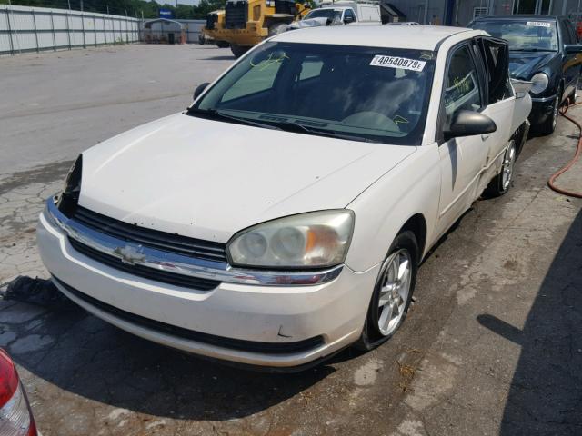 1G1ZT62854F177014 - 2004 CHEVROLET MALIBU MAX თეთრი ფოტო 2