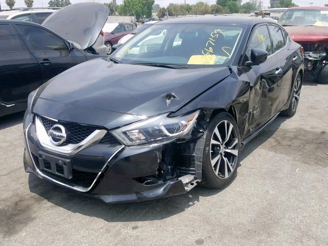 1N4AA6AP2HC448420 - 2017 NISSAN MAXIMA 3.5 BLACK photo 2