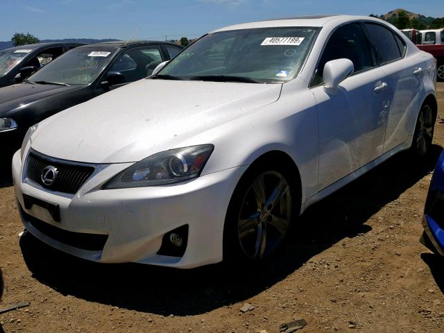 JTHBF5C23B5150545 - 2011 LEXUS IS 250 WHITE photo 2