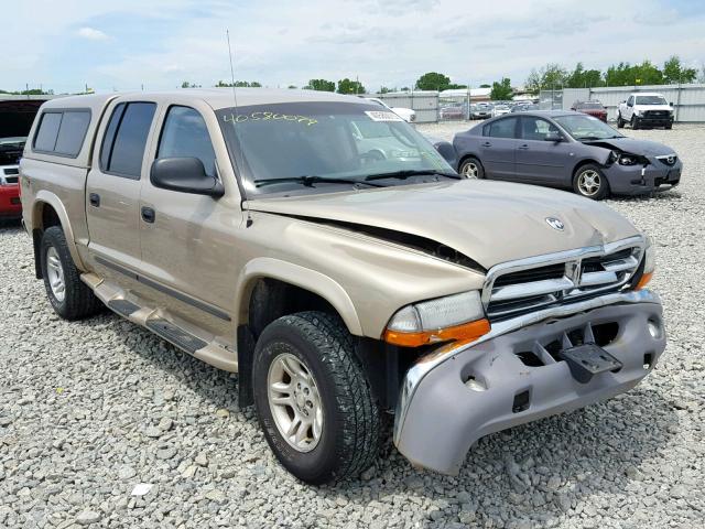 1D7HG48N23S334633 - 2003 DODGE DAKOTA QUA GOLD photo 1