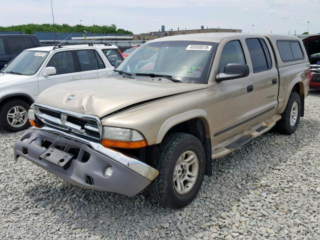 1D7HG48N23S334633 - 2003 DODGE DAKOTA QUA GOLD photo 2