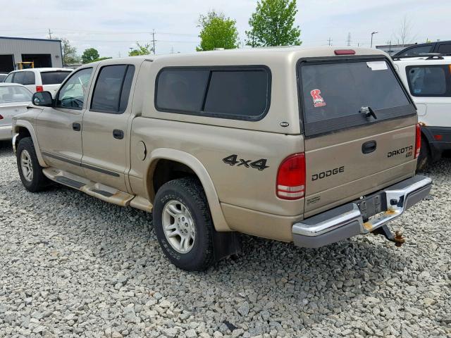 1D7HG48N23S334633 - 2003 DODGE DAKOTA QUA GOLD photo 3