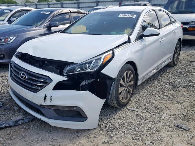 5NPE34AF0GH274481 - 2016 HYUNDAI SONATA SPO WHITE photo 2