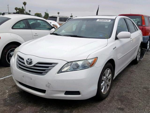 4T1BB46K09U069498 - 2009 TOYOTA CAMRY HYBR WHITE photo 2