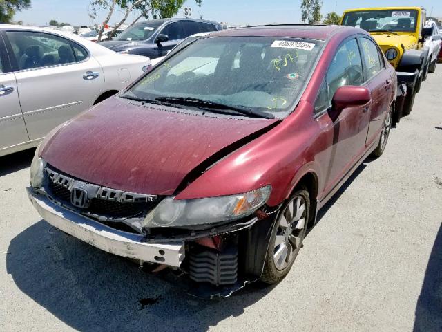 19XFA16969E012919 - 2009 HONDA CIVIC EXL BURGUNDY photo 2