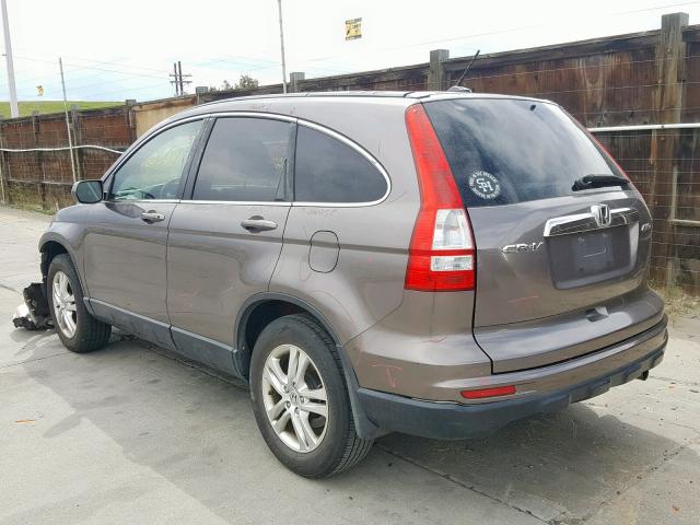 5J6RE4H78AL092387 - 2010 HONDA CR-V EXL BROWN photo 3