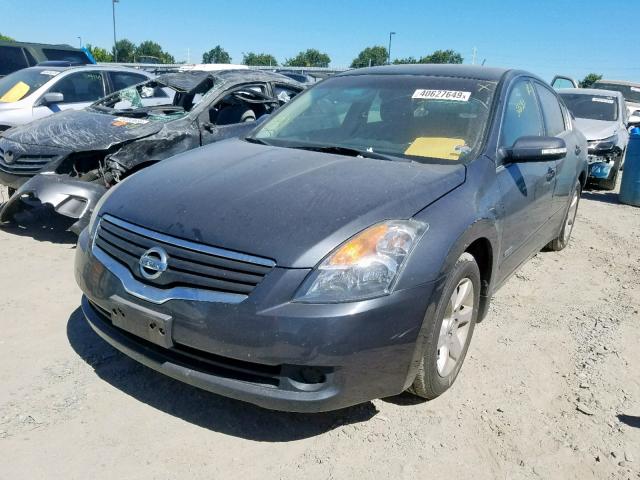 1N4CL21E09C120375 - 2009 NISSAN ALTIMA HYB GRAY photo 2