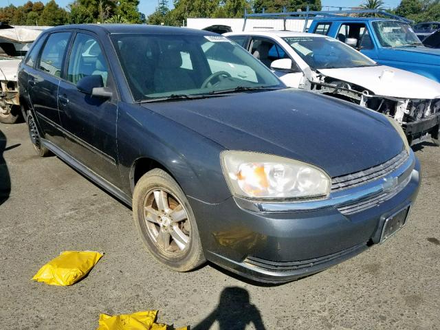 1G1ZT62894F205932 - 2004 CHEVROLET MALIBU MAX 银色 照片 1