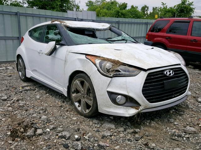 KMHTC6AE5DU171774 - 2013 HYUNDAI VELOSTER T WHITE photo 1