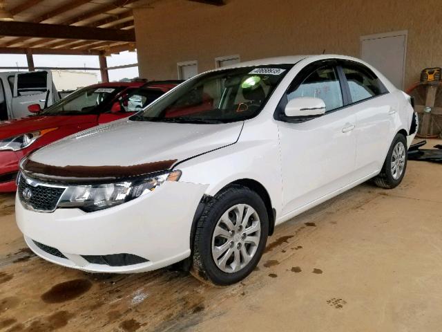 KNAFU4A28D5725986 - 2013 KIA FORTE EX WHITE photo 2