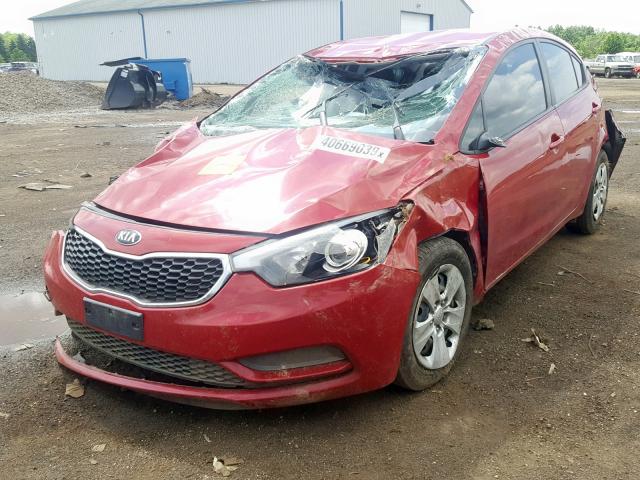 KNAFK4A66G5445612 - 2016 KIA FORTE LX RED photo 2