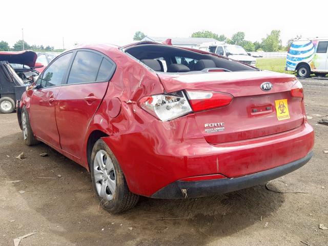 KNAFK4A66G5445612 - 2016 KIA FORTE LX RED photo 3