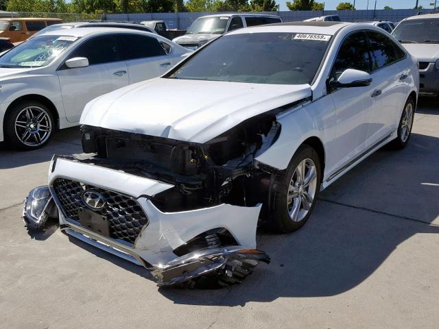 5NPE34AF9JH651588 - 2018 HYUNDAI SONATA SPO WHITE photo 2