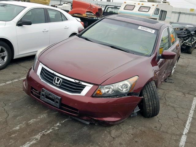 1HGCP2F8XAA070409 - 2010 HONDA ACCORD EXL MAROON photo 2