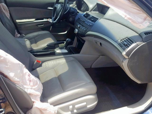 1HGCP36829A026048 - 2009 HONDA ACCORD EXL BLUE photo 5