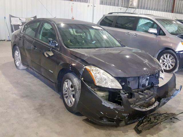 1N4CL2AP7AC121335 - 2010 NISSAN ALTIMA HYB GRAY photo 1