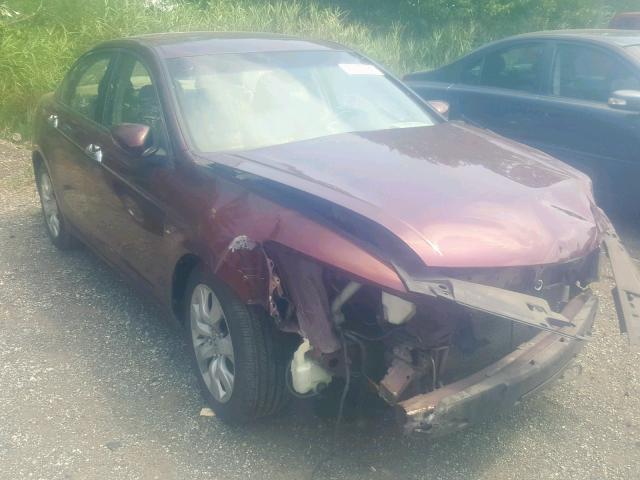 1HGCP36828A044774 - 2008 HONDA ACCORD EXL MAROON photo 1